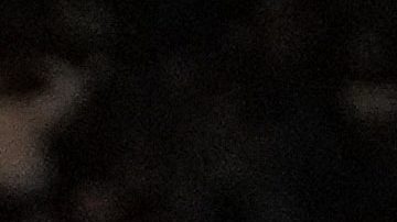 Isaac 'Pitbull' Cruz