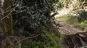 Jeep Compass detalles antes de su presentación en noviembre