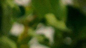 Jennifer Lopez y Ben Affleck