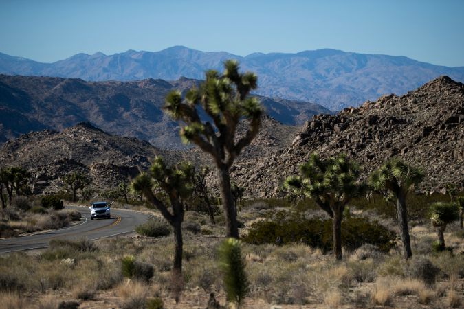 La carretera en el Parque Nacional Joshua Tree en el desierto de Mojave, en el sur de California, con los icónicos árboles de Joshua.