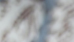 ¿Por qué su pago de SSI está siendo revisado por la Seguridad Social?