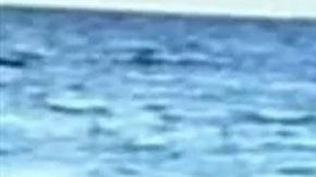 Kaylie Pitzer y Zara Don Hull