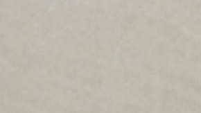 Robert F. Kennedy Jr., candidato independiente