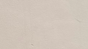 Ana Patricia y su esposo Luis Carlos Martínez