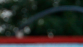 El gesto que tuvo Angelina Jolie con Pasqualino Esposito, y la gran ovación de 8 minutos que recibió por su papel protagónico en la película "María" basada en Maria Callas, la cantante de ópera.