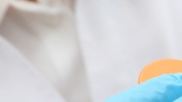 Los CDC cambian sus normas sobre los piojos y las escuelas