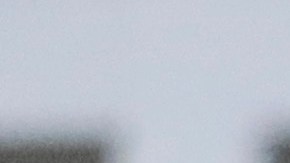 Informe expone abusos físicos y sexuales en centros de detención de ICE en Louisiana