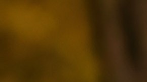 La policía de Maine investiga las circunstancias en las que falleció el menor de edad.