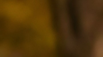 La policía de Maine investiga las circunstancias en las que falleció el menor de edad.