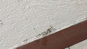 Maqueta del Palacio de Justicia de Colombia