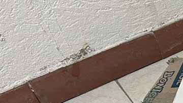 Maqueta del Palacio de Justicia de Colombia