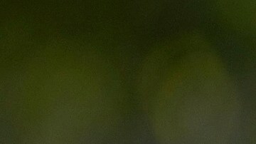 María Corina Machado llamó a sus simpatizantes a mantener unión y firmeza.