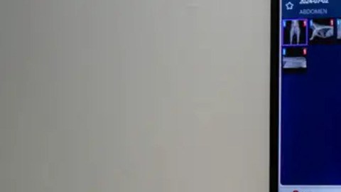 Mascota