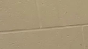 Michael Wayne Gordon