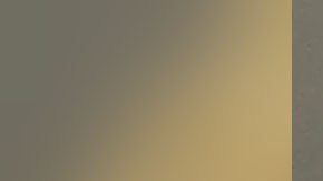 Michelina Desiree Goodwin