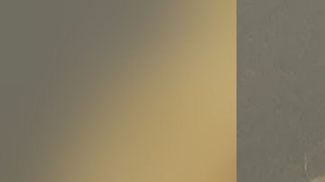 Michelina Desiree Goodwin