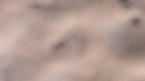 Microplasticos se están infiltrando en el tejido cerebral humano