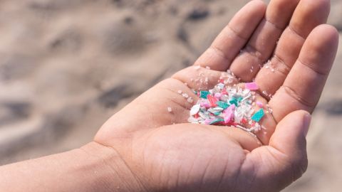 Microplasticos se están infiltrando en el tejido cerebral humano