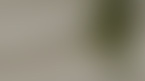 El tiroteo ocurrió durante un aumento que la policía de Minneapolis notó este mes en el robo de Kias y Hyundais.