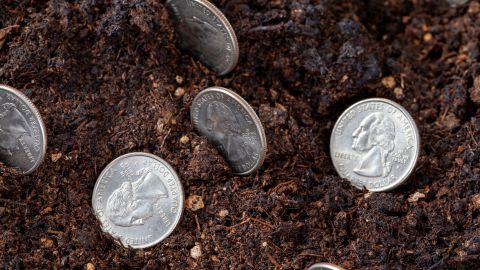 Monedas valiosas enterradas