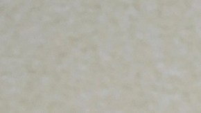 Natti Natasha y Raphy Pina