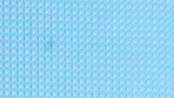 ¡Niurka Marcos tiene novio!