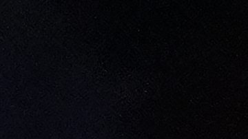 Rayo Valenzuela y el Pitbull Cruz