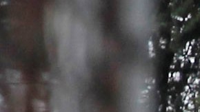 Los Angeles Police investigate a home on 81st Street in Los Angeles on Wednesday, July 7, 2010. A law enforcement official says police made an arrest in the so-called "Grim Sleeper" serial killings in which a man is believed to have killed 11 people since 1985. (AP Photo/Chris Carlson)