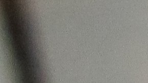 Pollo rostizado de Costco