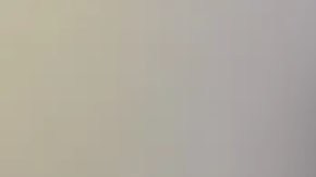 Ramone Jamarr Alston