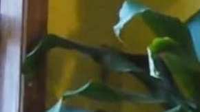 Richard Alatorre falleció el  13 de agosto de 2024. (Cortesía David Ayón)