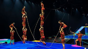 Foto: Ringling Bros.