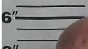 Robert Lee Hollis y Andrei Anatolyahch Gouchtchine