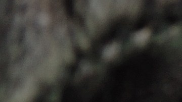 Robo de números del Seguro Social