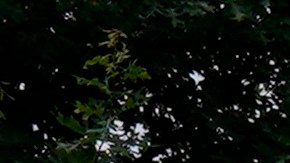 Lifeguards Hailey Landrun, 17, and Rachel Mees, 21, watch over swimmers at the Douglass Park pool in Indianapolis, Friday, June 17, 2022. Indianapolis typically fills 17 pools each year, but with a national lifeguard shortage exacerbated by the COVID-19 pandemic, just five are open this summer. The American Lifeguard Association estimates one-third of pools in the United States are impacted by the shortage. (AP Photo/Michael Conroy)