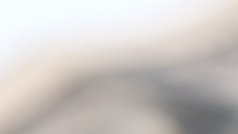 ¿En qué estados puedes perder parte de tus beneficios de la Seguridad Social?