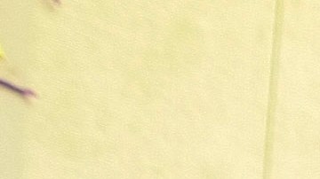 FILE - In this Oct. 15, 2009 file photo, children participate in the "Great California ShakeOut" earthquake drill at the Para Los Ninos Elementary School in Los Angeles. Millions in the United States and several countries are set to participate in an earthquake preparedness drill, dubbed the Great ShakeOut," Thursday, Oct. 18, 2012. (AP Photo/Damian Dovarganes, File)