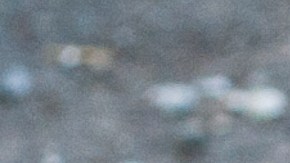 El conductor perdió el control de la camioneta cuando viajaba por una carretera de Texas, por lo que se volcó varias veces.