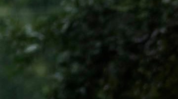 La tormenta Debby continúa este martes castigando con lluvias torrenciales e inundaciones.