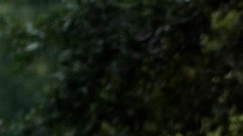 La tormenta Debby continúa este martes castigando con lluvias torrenciales e inundaciones.