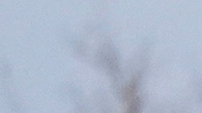 el Tren de Aragua, originaria de una prisión en la ciudad homónima de Venezuela, está operando en Colorado.