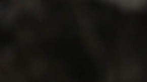 Donald Trump, expresidente estadounidense