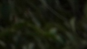 Machado valora como “gran victoria” jornada de protesta