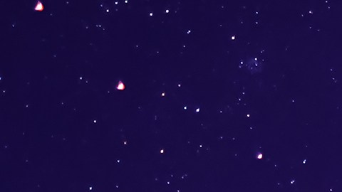 Venus se posiciona sobre Libra y su energía afecta al horóscopo.