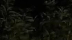 Violencia en México