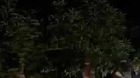 Violencia en México