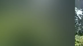 Violencia en Michoacán