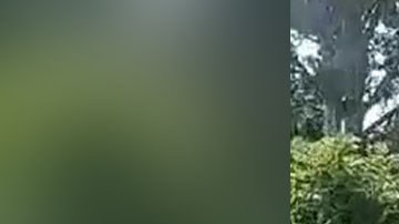 Violencia en Michoacán