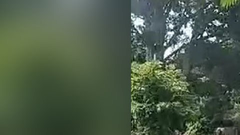 Violencia en Michoacán