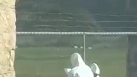 Violencia en Querétaro